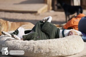 Hutamix-25-03-w03-010