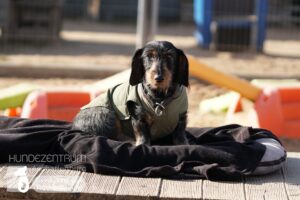 Hutamix-25-03-w03-011