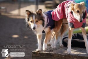 Hutamix-25-03-w03-012