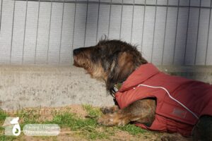 Hutamix-25-03-w03-015