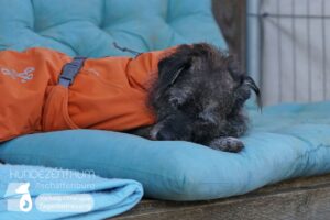 Hutamix-25-03-w03-016