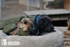 Hutamix-25-03-w03-017