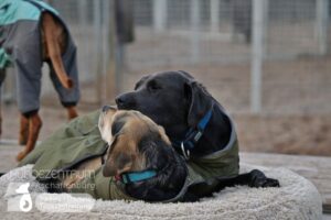 Hutamix-25-03-w03-018