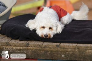 Hutamix-25-03-w03-019