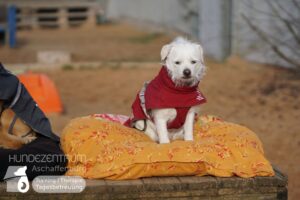 Hutamix-25-03-w03-020