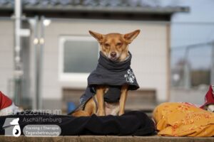 Hutamix-25-03-w03-021