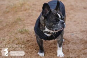 Hutamix-25-03-w03-022