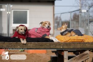 Hutamix-25-03-w03-023