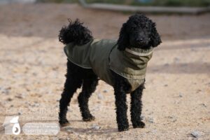 Hutamix-25-03-w03-025