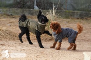 Hutamix-25-03-w03-026