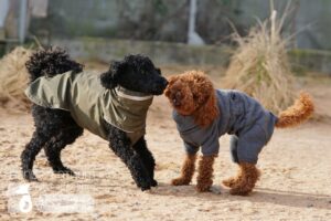 Hutamix-25-03-w03-027