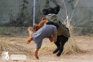 Hutamix-25-03-w03-028