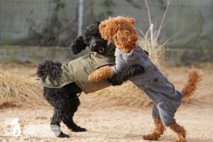 Hutamix-25-03-w03-029