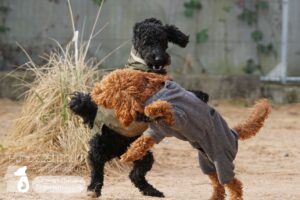 Hutamix-25-03-w03-030