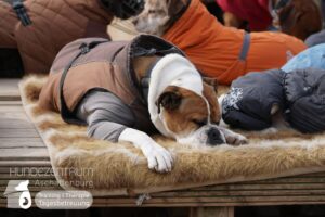 Hutamix-25-03-w03-031