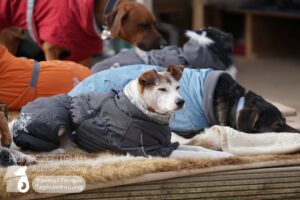 Hutamix-25-03-w03-032