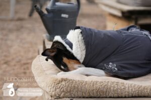 Hutamix-25-03-w03-033