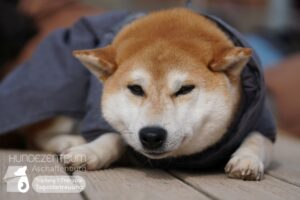 Hutamix-25-03-w03-034