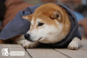 Hutamix-25-03-w03-035