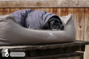 Hutamix-25-03-w03-036