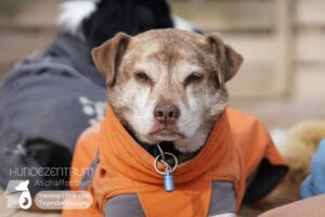 Hutamix-25-03-w03-037