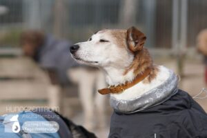 Hutamix-25-03-w03-038