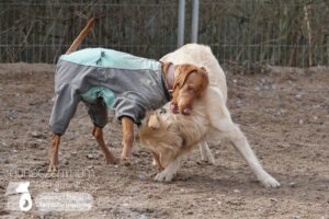 Hutamix-25-03-w03-039