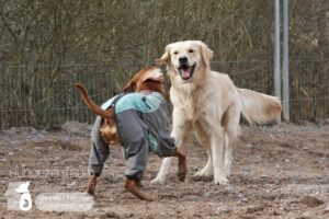 Hutamix-25-03-w03-040