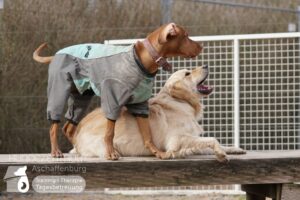 Hutamix-25-03-w03-041