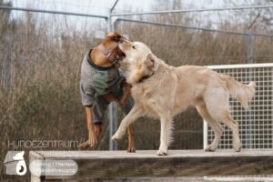 Hutamix-25-03-w03-042