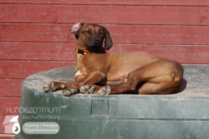 Hutamix-25-03-w03-043