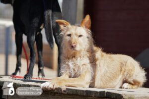 Hutamix-25-03-w03-044