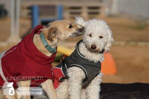 Hutamix-25-03-w03-045