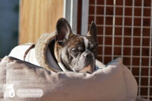 Hutamix-25-03-w03-046