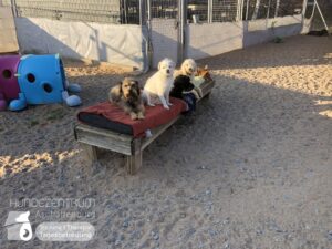 Hutamix-25-03-w03-047