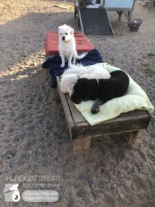 Hutamix-25-03-w03-048