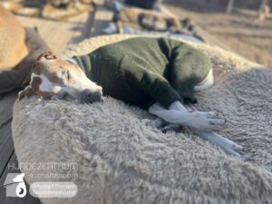 Hutamix-25-03-w03-049