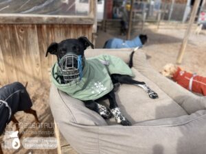 Hutamix-25-03-w03-050