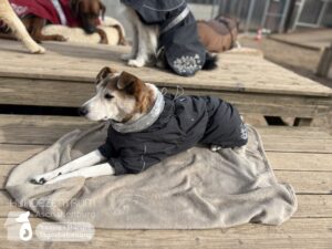 Hutamix-25-03-w03-051