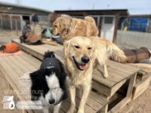 Hutamix-25-03-w03-052