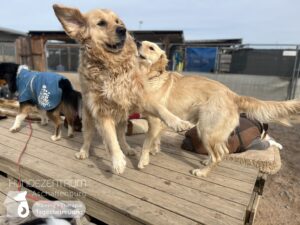 Hutamix-25-03-w03-053