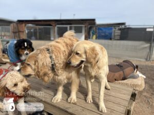 Hutamix-25-03-w03-054