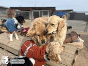 Hutamix-25-03-w03-055