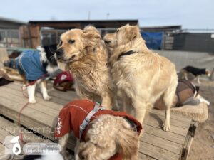 Hutamix-25-03-w03-056