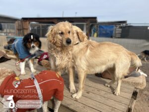 Hutamix-25-03-w03-057