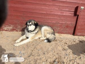 Hutamix-25-03-w03-058