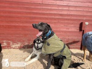 Hutamix-25-03-w03-059