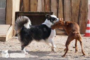 Hutamix-25-03-w10-003