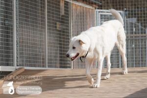 Hutamix-25-03-w10-005