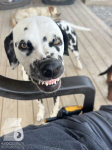 Hutamix-25-03-w17-001